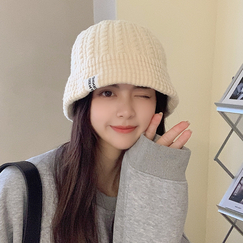Fashion All-Match Warm Wool Knitted Basin Hat