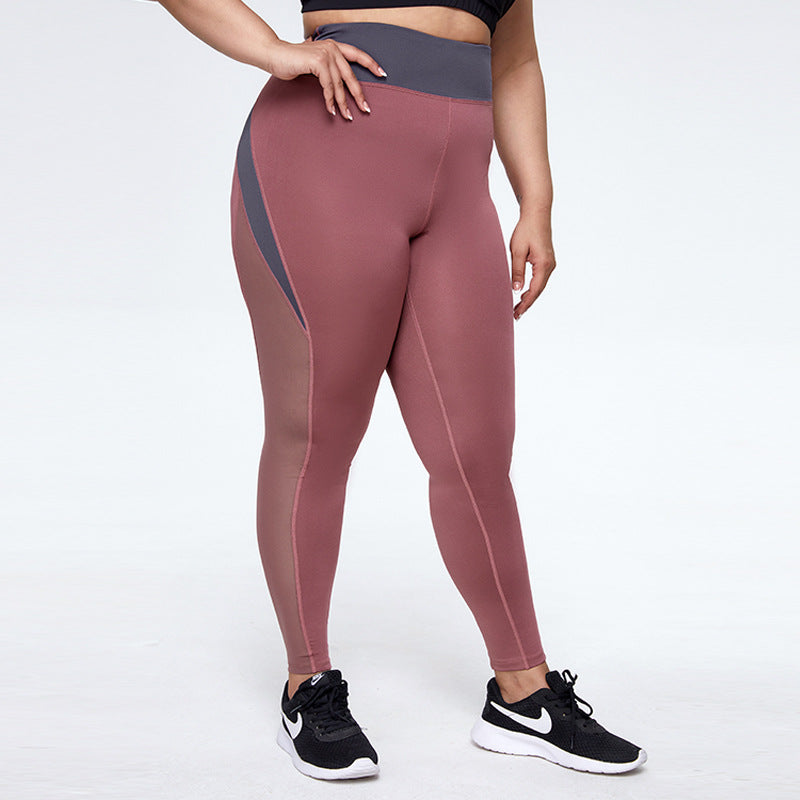 Mesh Stitching Large Size Quick-Drying Yoga Pants