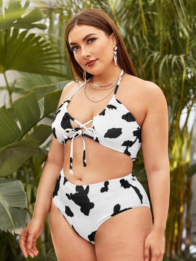 Cow Print Plus-size Split Swimsuit