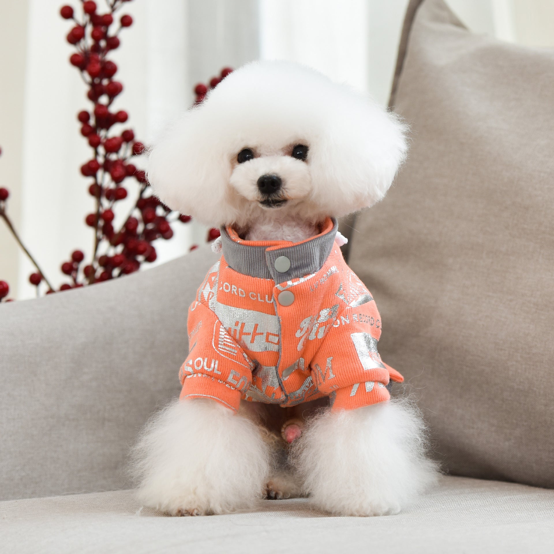 Stylish Sportswear And Cotton Warm Dog Clothes