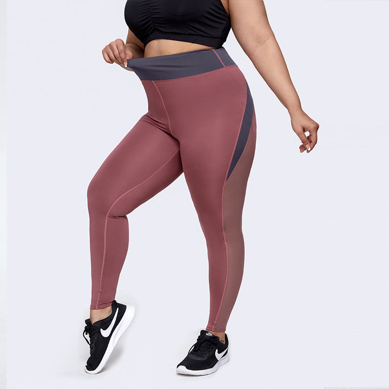 Mesh Stitching Large Size Quick-Drying Yoga Pants