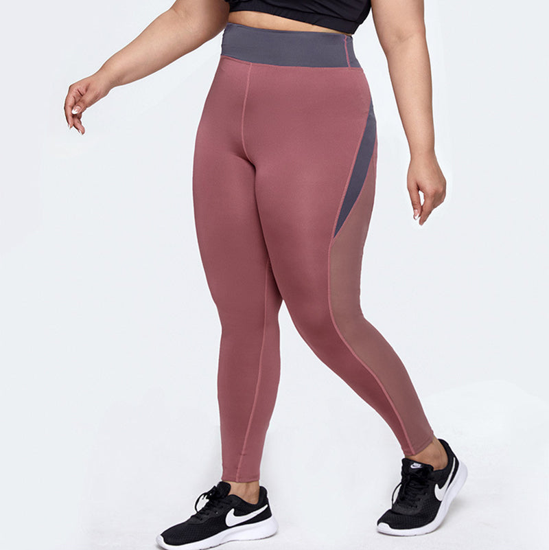 Mesh Stitching Large Size Quick-Drying Yoga Pants
