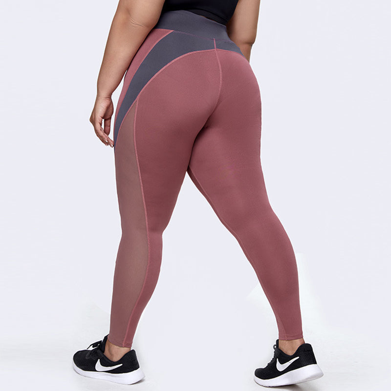 Mesh Stitching Large Size Quick-Drying Yoga Pants