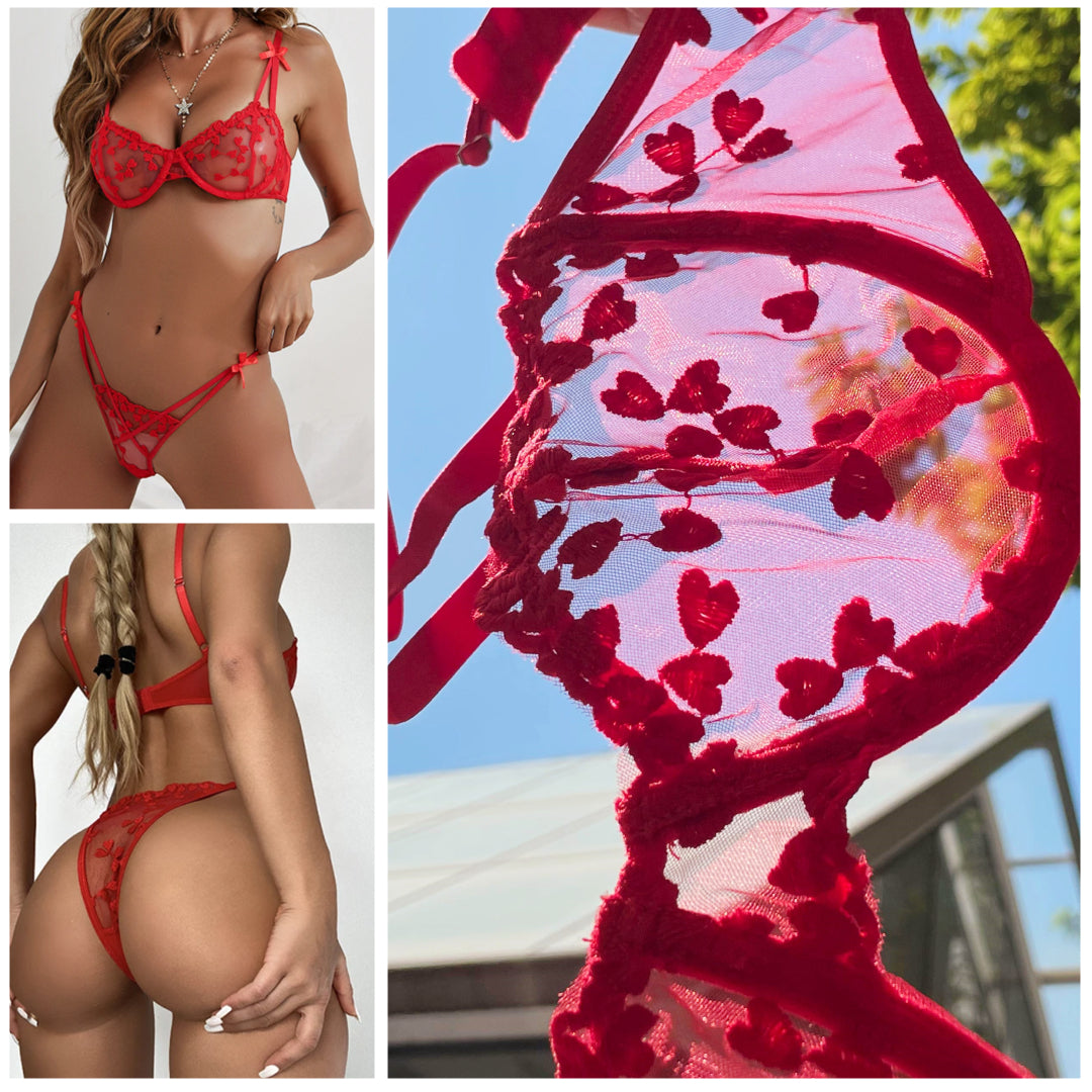 Ziibras™ Embroidery Mesh Applique Lingerie Set
