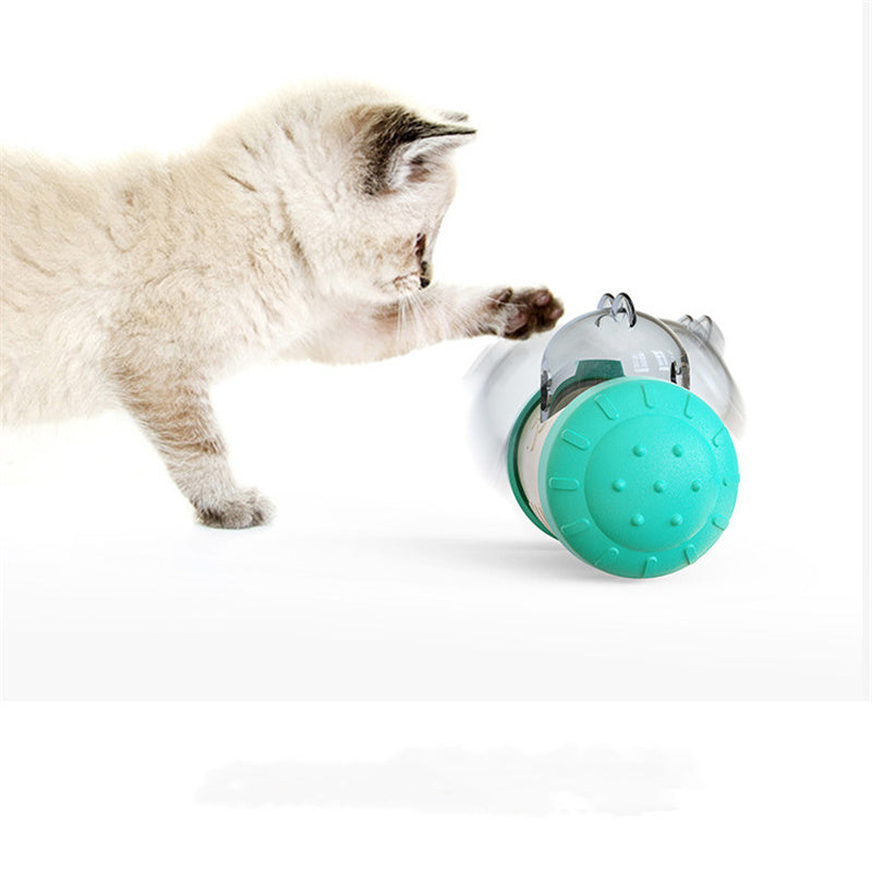 Pet Tumbler Leaks Toy Ball