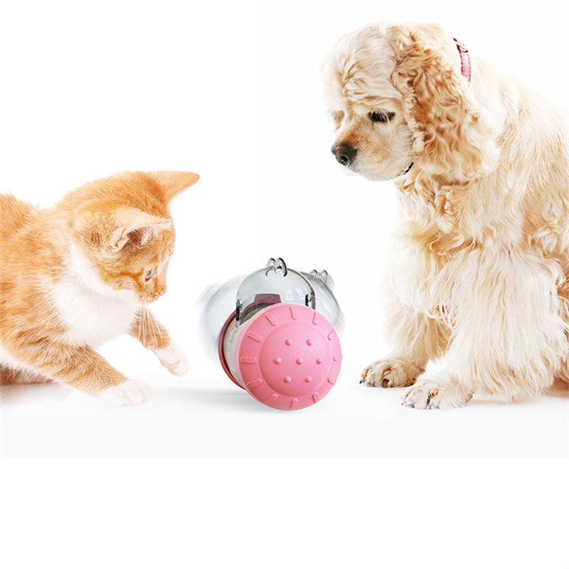 Pet Tumbler Leaks Toy Ball