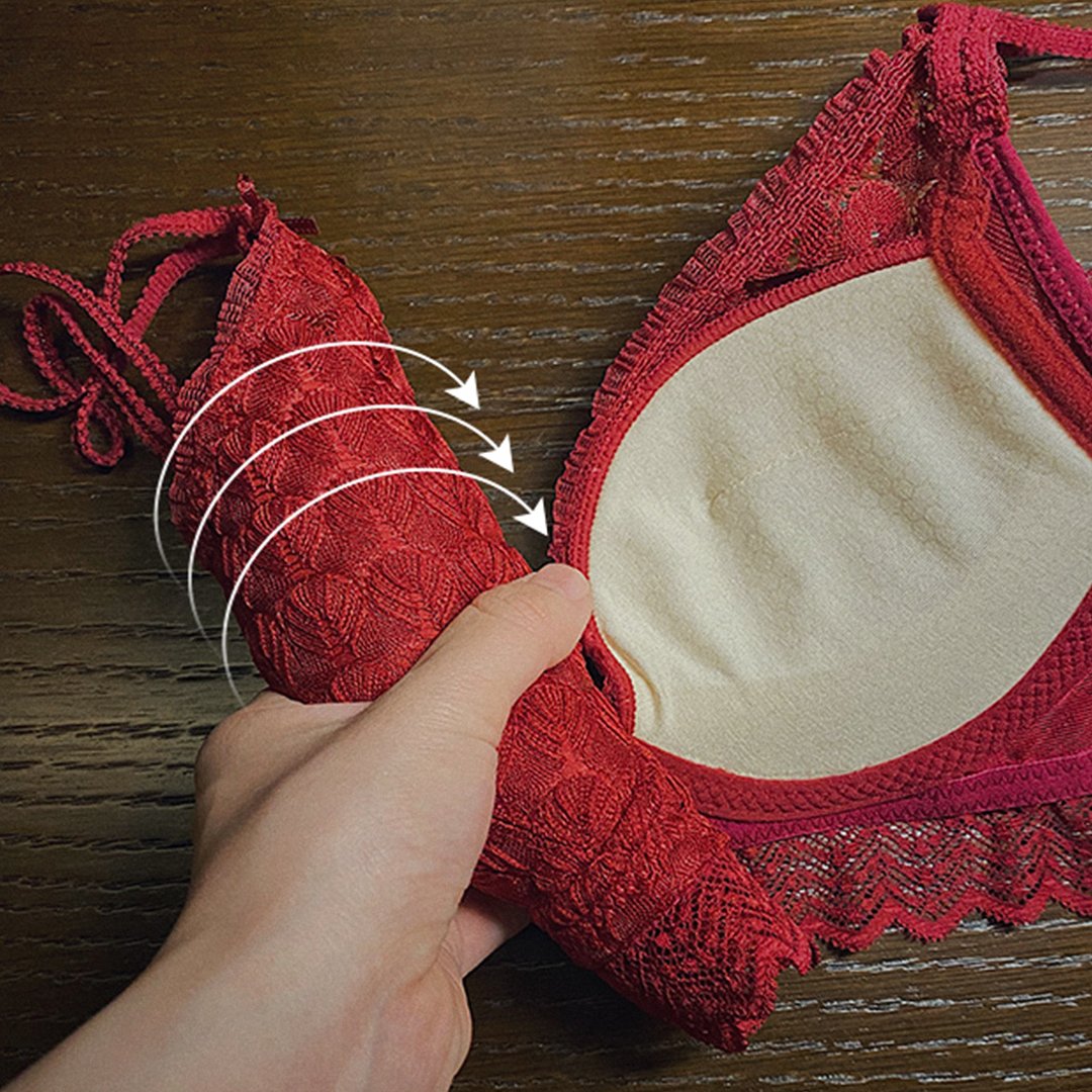 Ziibras™ Sexy Lace Rose Embroidery Bra