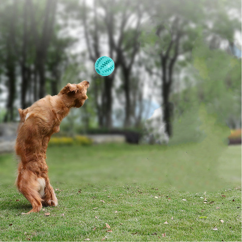 Pet Toy Food Leaking Ball