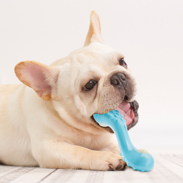 Dog Toys Bone Chewing Teeth Cleaning