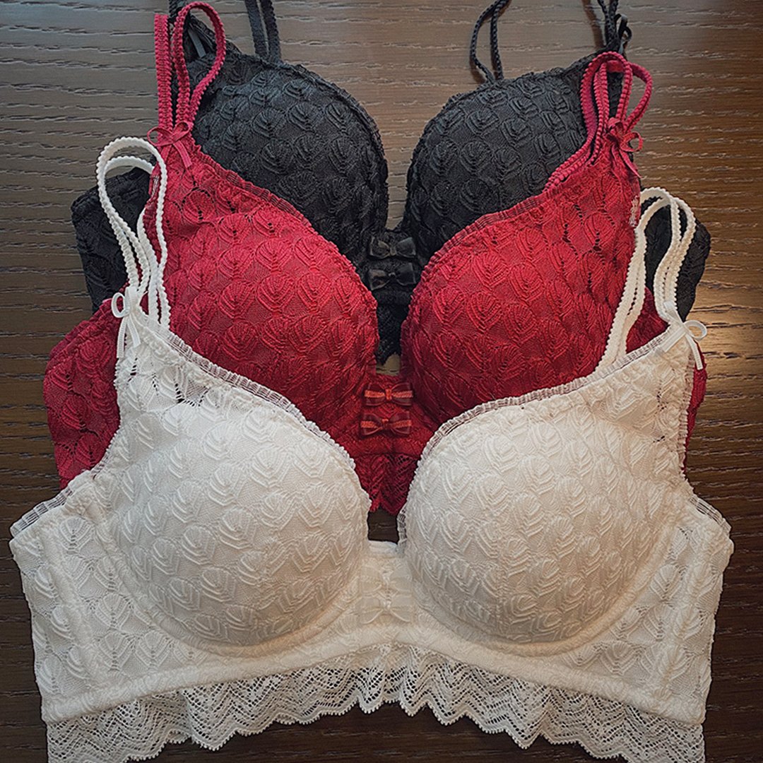 Ziibras™ Sexy Lace Rose Embroidery Bra