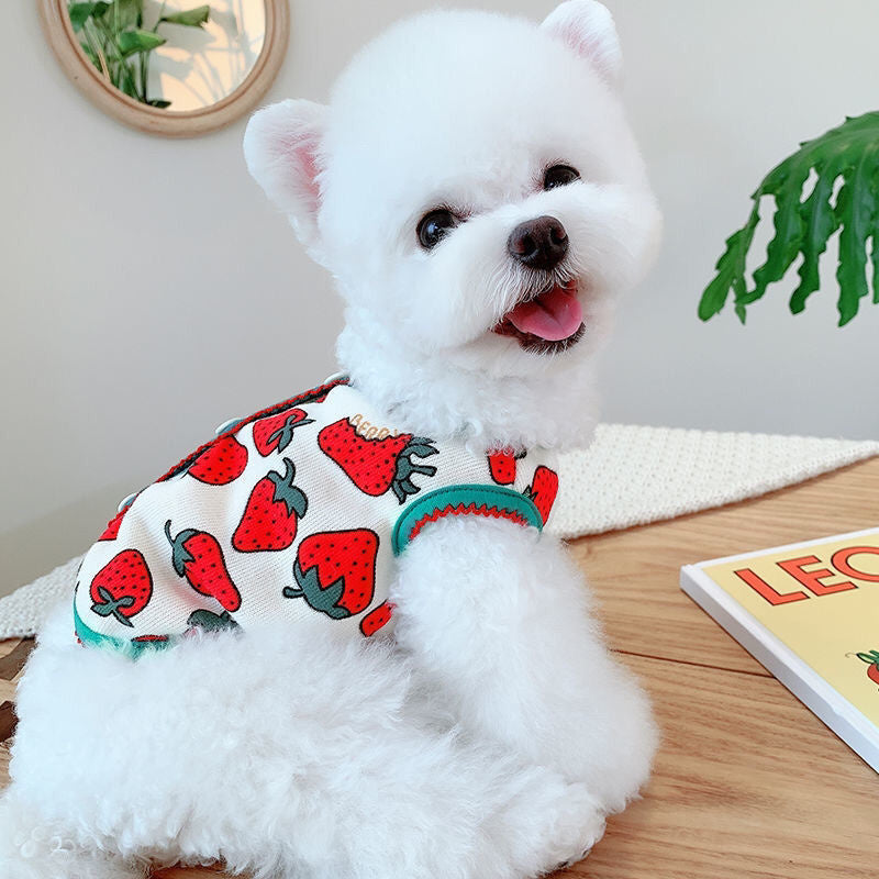 Spring And Autumn Strawberry Vest Pet Dress