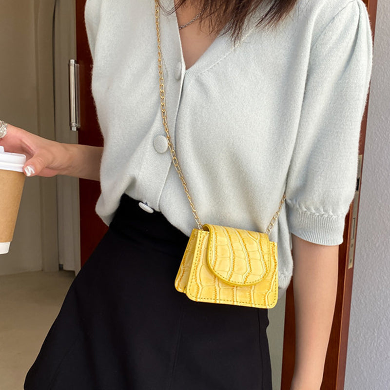 Super Cute Metal Chain Mini Shoulder Bags