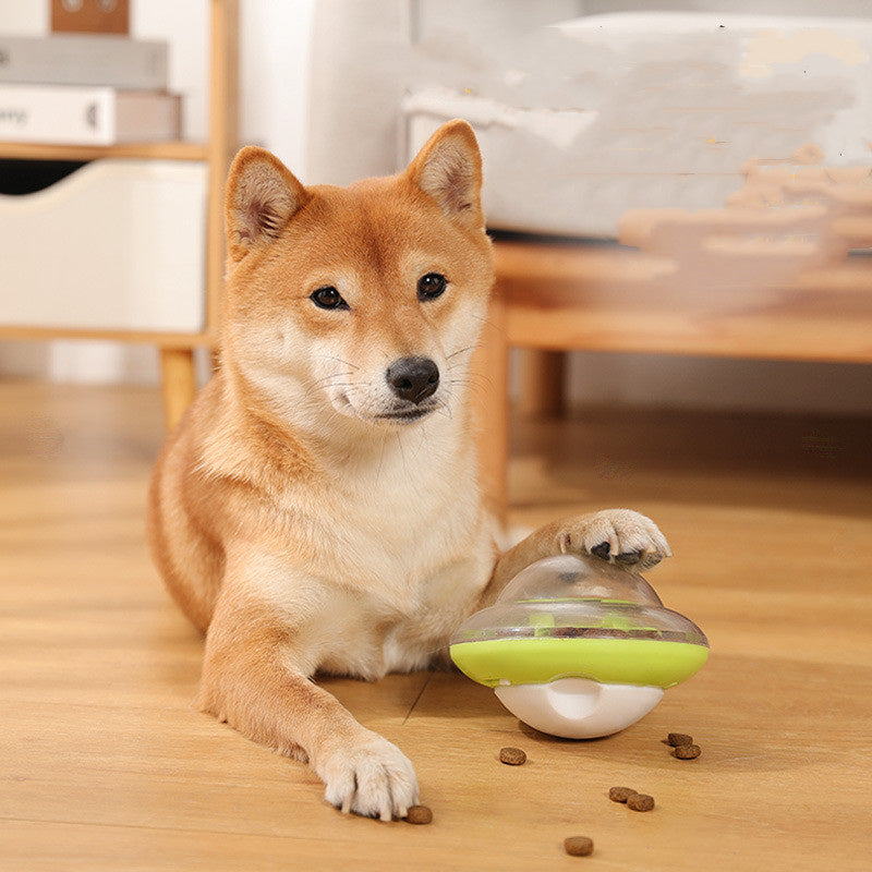 Dog Leaks Ball Tumbler Plays With Cat Toy