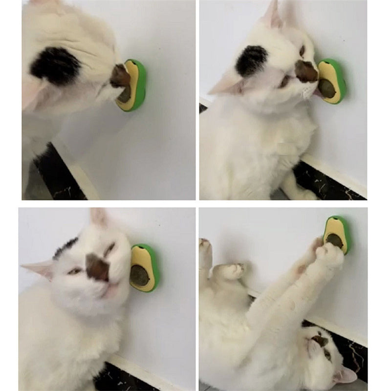 Catnip Ball Toy In The Shape Of An Avocado