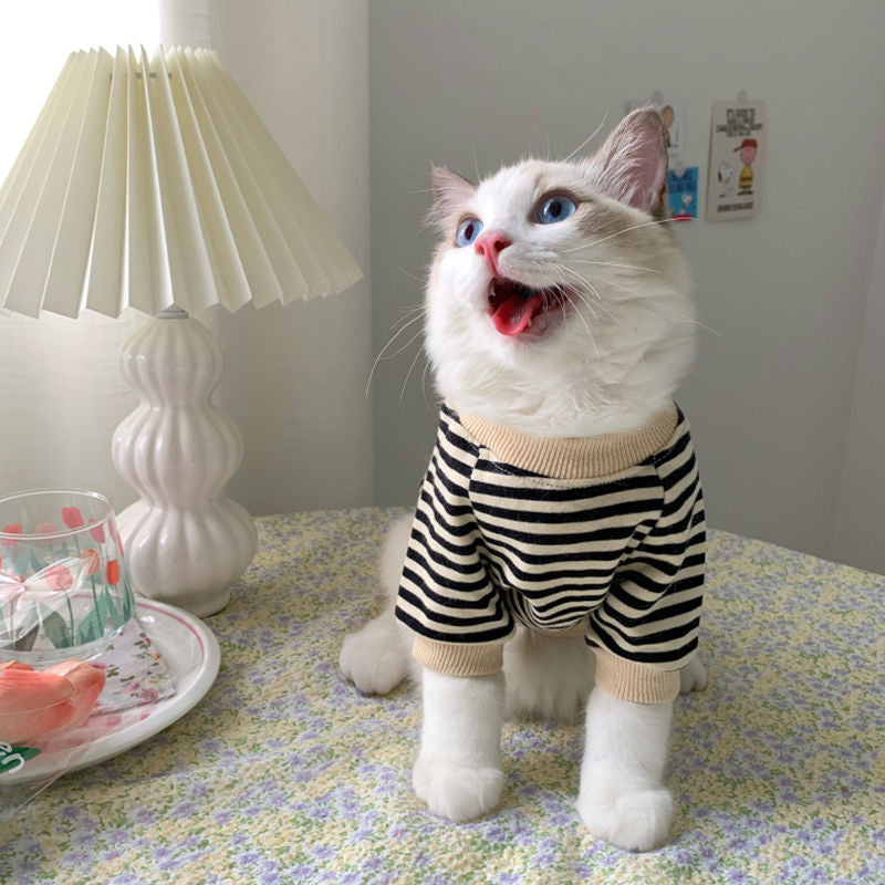 Pet's Handsome Sweatshirt