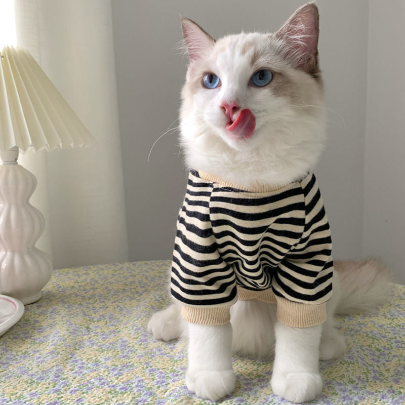 Pet's Handsome Sweatshirt