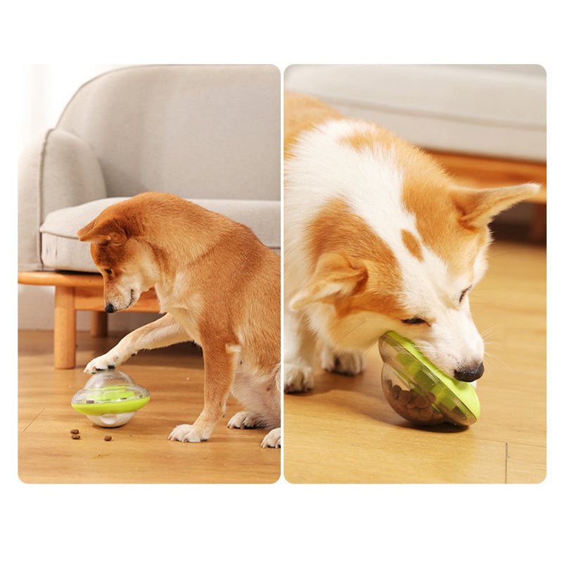 Dog Leaks Ball Tumbler Plays With Cat Toy