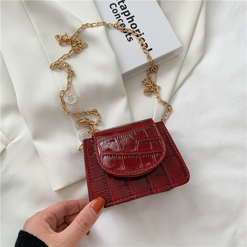 Super Cute Metal Chain Mini Shoulder Bags