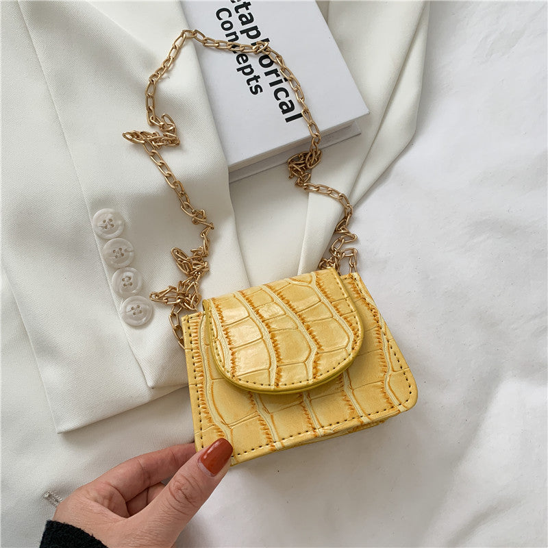 Super Cute Metal Chain Mini Shoulder Bags