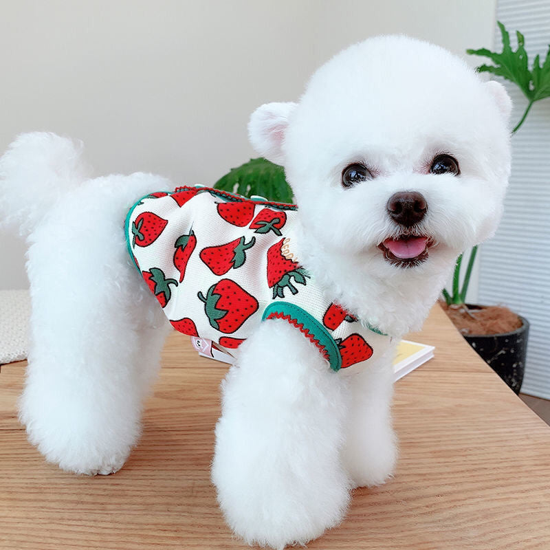 Spring And Autumn Strawberry Vest Pet Dress