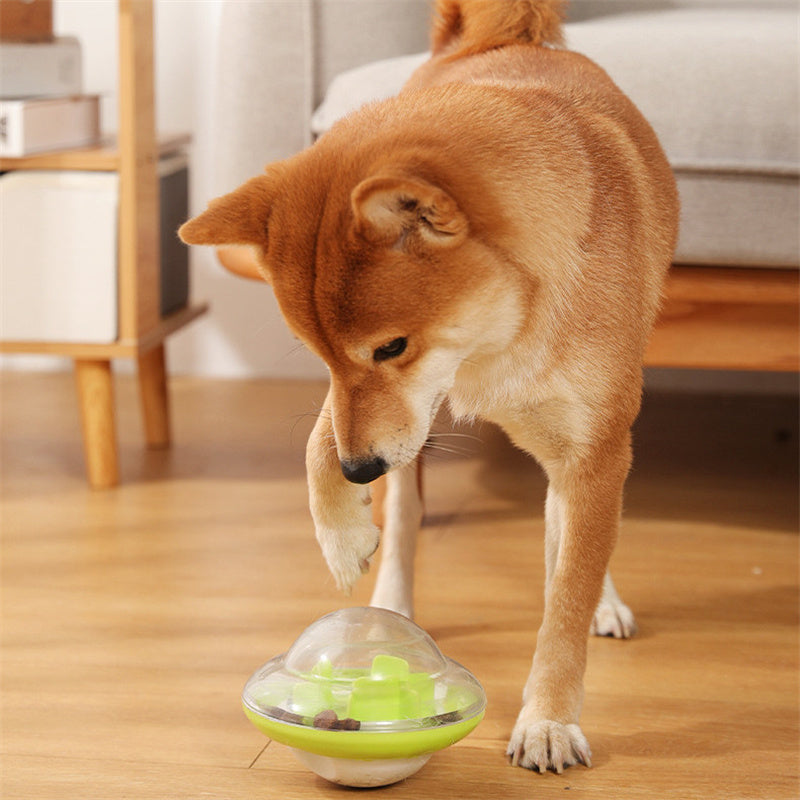 Dog Leaks Ball Tumbler Plays With Cat Toy