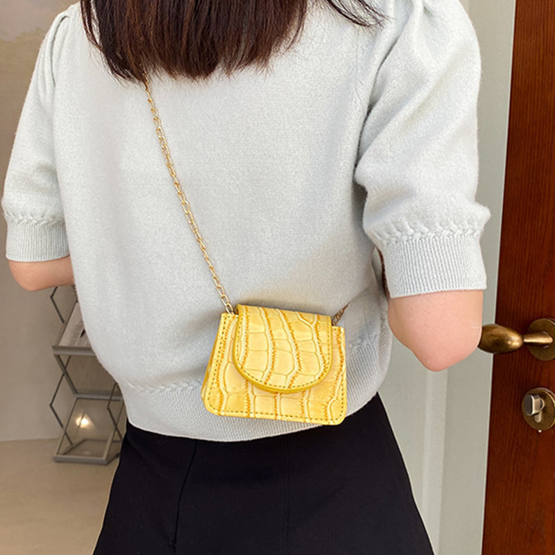 Super Cute Metal Chain Mini Shoulder Bags