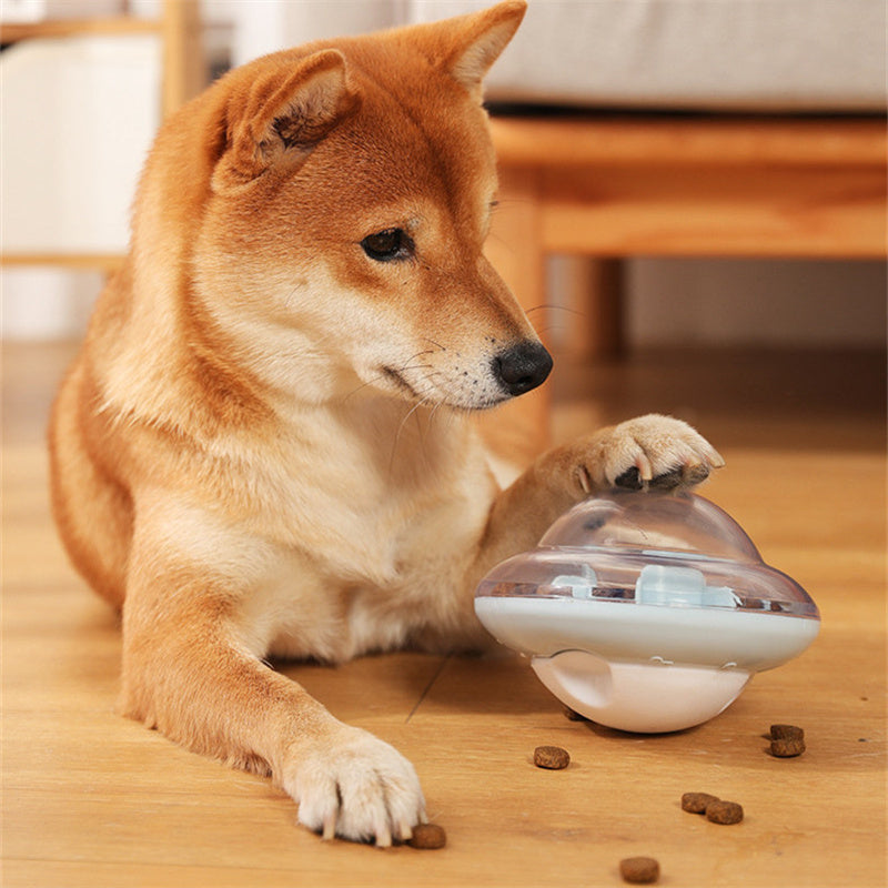 Dog Leaks Ball Tumbler Plays With Cat Toy