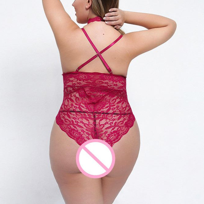 Halter Transparent Mesh Sexy Lingerie