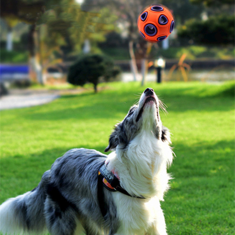 Pet Toys Anti-Bite Molar Interactive Training Bell Ball