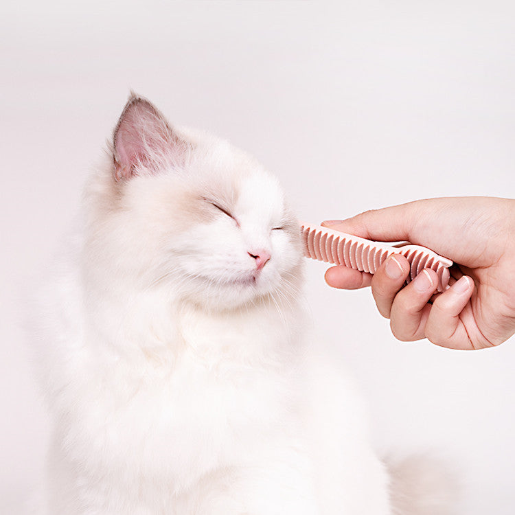 Go To The Floating Hair Massage Cat Artifact Cat Comb