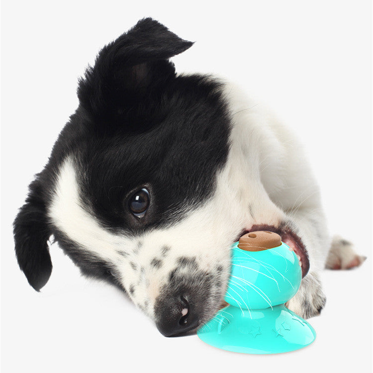 Dog Treats Toy Sucker