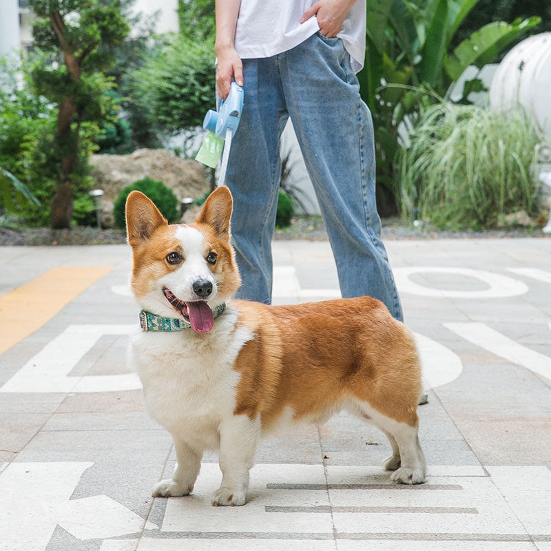 Automatic Retractable Dog Leash With Light