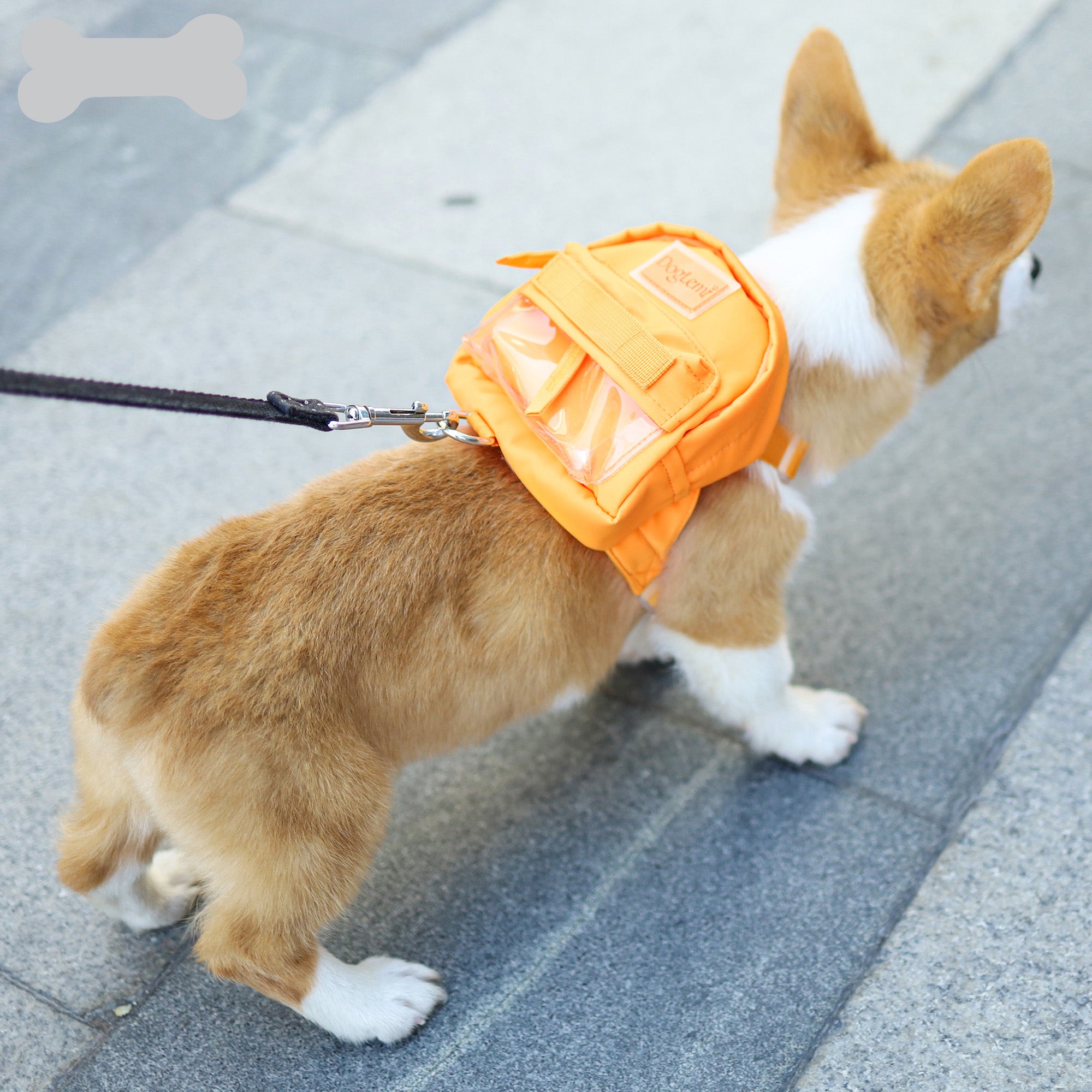 Pet Self Carrier Bag Waterproof Dog Puppy Self Backpack With